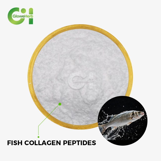 Fish collagen peptides